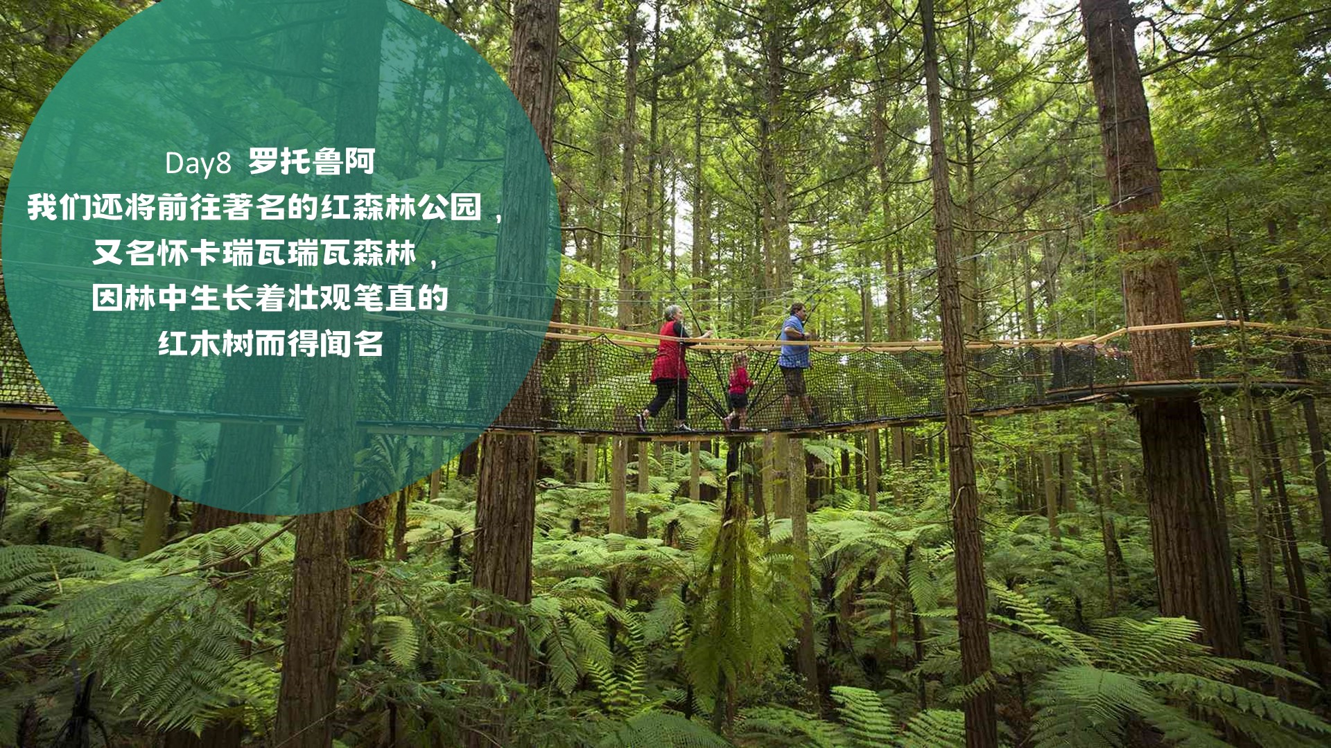 幻灯片19.JPG