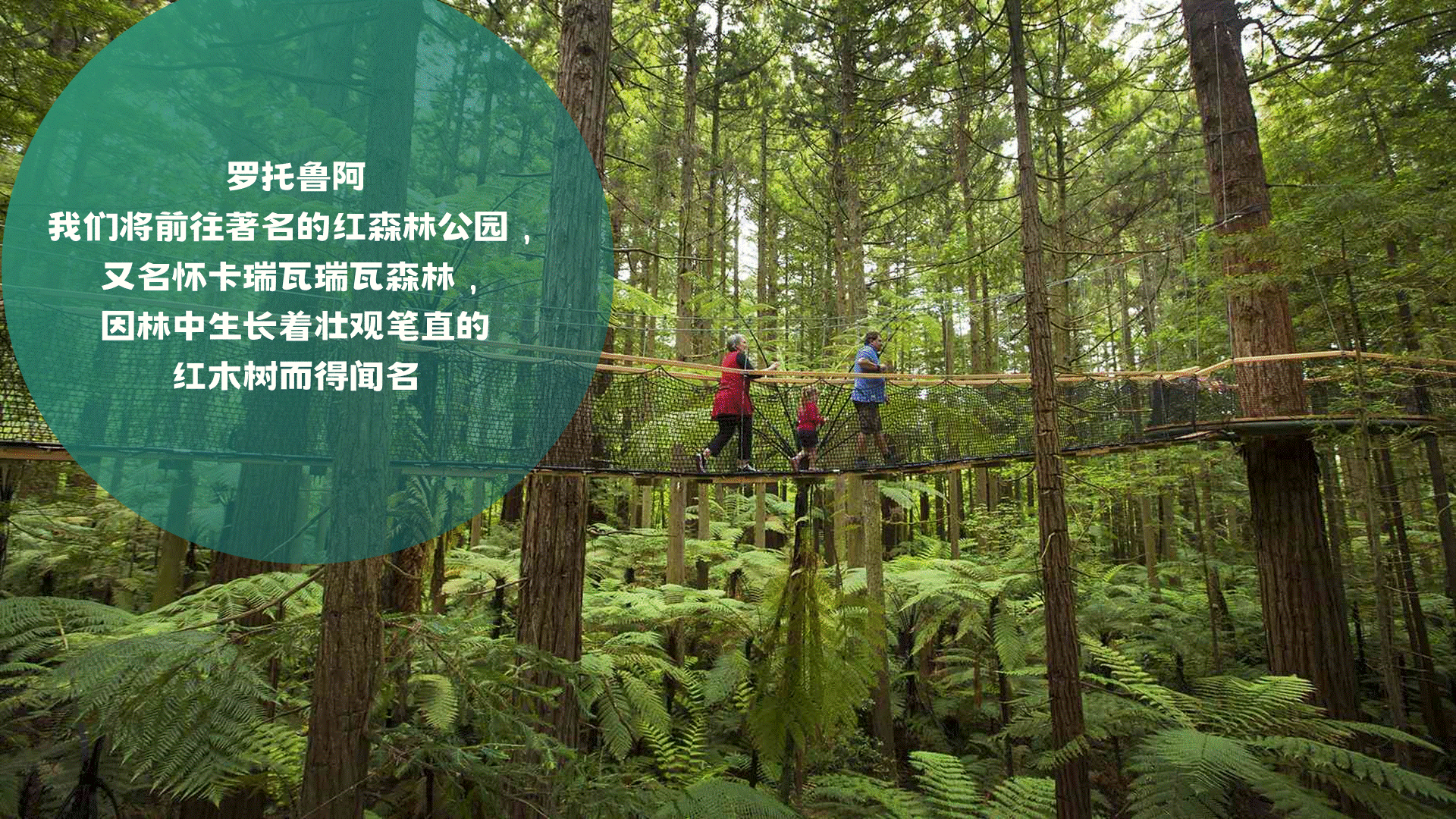幻灯片24.GIF