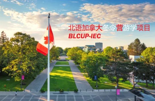 中国学生赴外游学Chinese Students to Overseas